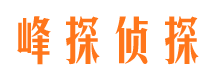 崇川市侦探公司